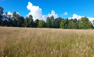 Terreno 4 hectáreas con cabaña