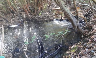 Terreno 4 hectáreas con cabaña