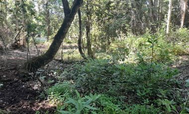 Terreno 4 hectáreas con cabaña