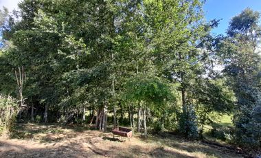 Terreno 4 hectáreas con cabaña