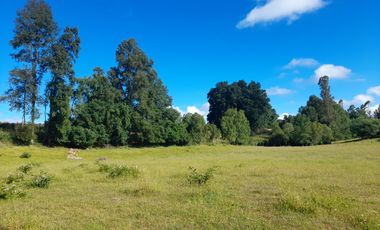 Terreno 4 hectáreas con cabaña