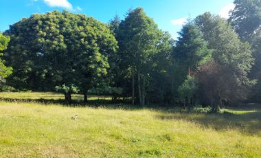 Terreno 4 hectáreas con cabaña
