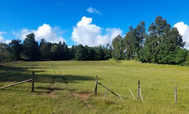 Terreno 4 hectáreas con cabaña