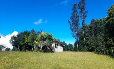Terreno 4 hectáreas con cabaña