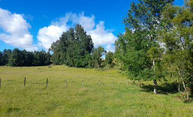 Terreno 4 hectáreas con cabaña
