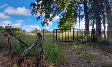 Terreno 4 hectáreas con cabaña