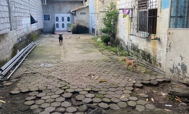 Se alquila galpón en Leonidas Plaza y Guerrero Martines centro de Guayaquil.