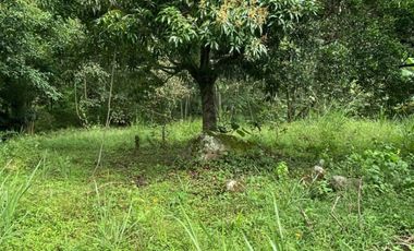 VENTA DE FINCA SAN ANTONIO DEL TEQUENDAMA