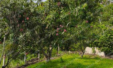 VENTA DE FINCA SAN ANTONIO DEL TEQUENDAMA