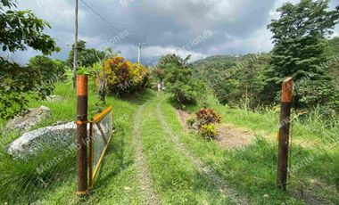 VENTA DE FINCA SAN ANTONIO DEL TEQUENDAMA