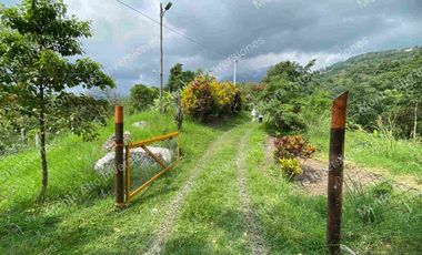 VENTA DE FINCA SAN ANTONIO DEL TEQUENDAMA