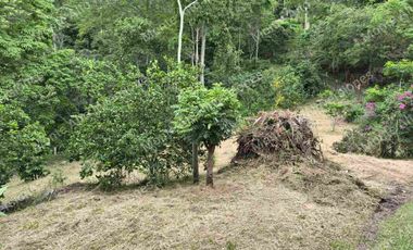 VENTA DE FINCA SAN ANTONIO DEL TEQUENDAMA