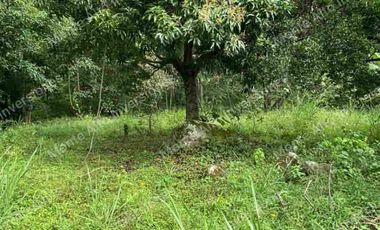 VENTA DE FINCA SAN ANTONIO DEL TEQUENDAMA