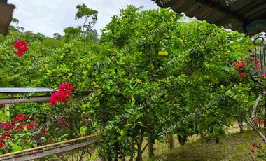 VENTA DE FINCA SAN ANTONIO DEL TEQUENDAMA