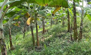 VENTA DE FINCA SAN ANTONIO DEL TEQUENDAMA