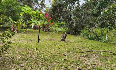 VENTA DE FINCA SAN ANTONIO DEL TEQUENDAMA