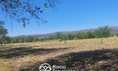 Lotes de 5200 m2 en venta en Los Reartes