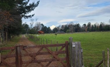 Hermosa parcela en Villarrica, Sector Ñancul