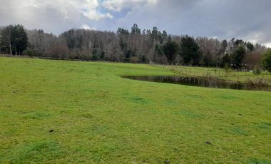 Hermosa parcela en Villarrica, Sector Ñancul