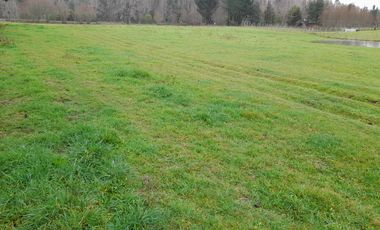 Hermosa parcela en Villarrica, Sector Ñancul