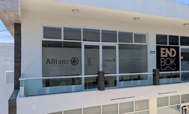 LOCALES COMERCIALES EN RENTA EN PLAZA PALMERAS | ARLETTE FLORES