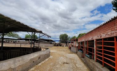 Rancho Ganadero en Venta en San José Iturbide, Guanajuato