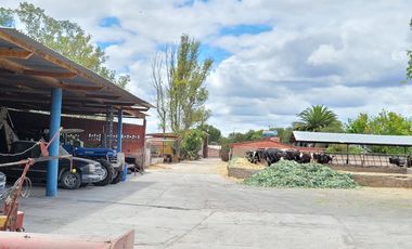 Rancho Ganadero en Venta en San José Iturbide, Guanajuato
