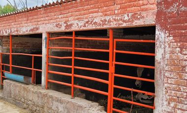Rancho Ganadero en Venta en San José Iturbide, Guanajuato