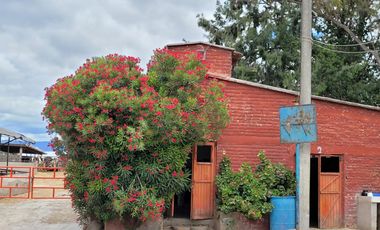 Rancho Ganadero en Venta en San José Iturbide, Guanajuato