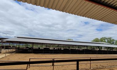 Rancho Ganadero en Venta en San José Iturbide, Guanajuato