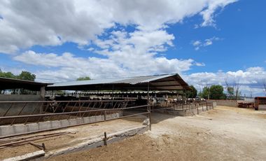 Rancho Ganadero en Venta en San José Iturbide, Guanajuato