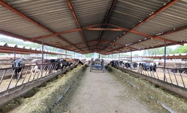 Rancho Ganadero en Venta en San José Iturbide, Guanajuato