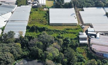 TERRENO EN VENTA, Villa Guerrero, Edo. México.