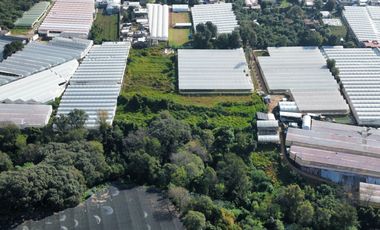 TERRENO EN VENTA, Villa Guerrero, Edo. México.