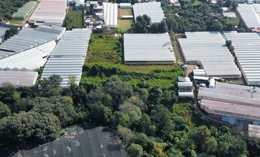 TERRENO EN VENTA, Villa Guerrero, Edo. México.