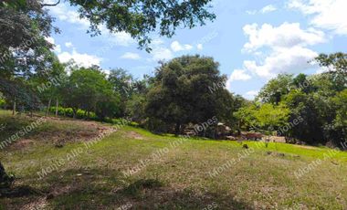 VENTA DE FINCA AGUA DE DIOS CUNDINAMARCA