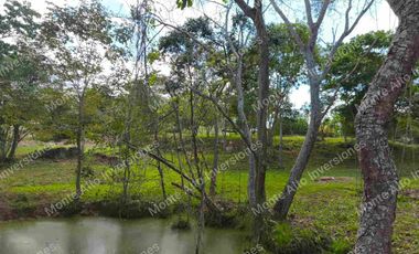 VENTA DE FINCA AGUA DE DIOS CUNDINAMARCA