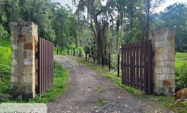 VENTA DE FINCA SAN ANTONIO DEL TEQUENDAMA