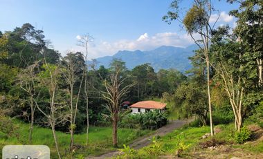 VENTA DE FINCA SAN ANTONIO DEL TEQUENDAMA