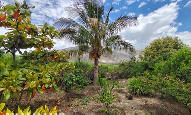 FINCA, CON DOS CASAS, EN PAMBAHACIENDA-MASCARILLA, MIRA A 30 MINUTOS DE IBARRA