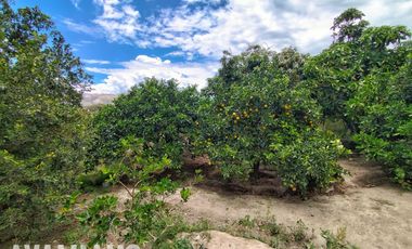 FINCA, CON DOS CASAS, EN PAMBAHACIENDA-MASCARILLA, MIRA A 30 MINUTOS DE IBARRA