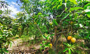 FINCA, CON DOS CASAS, EN PAMBAHACIENDA-MASCARILLA, MIRA A 30 MINUTOS DE IBARRA