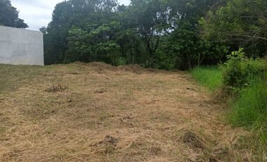 VENDO TERRENO EN EL FRACC LAS MINAS, COATEPEC, VER