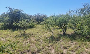 Lote de 2000 m2 en Villa general Belgrano- Barrio Tierras del sauce