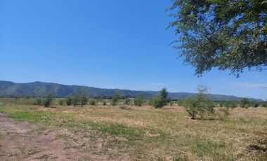 Fracciones de 1 hectárea en venta en Los Reartes 