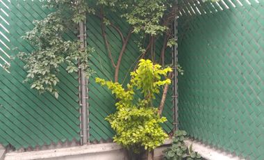 Linda casa en lomas de Valle Dorado