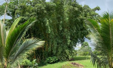 Finca Vacacional Vía Las Mercedes Santo Domingo Tsáchilas