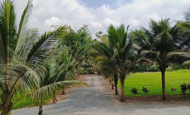 Finca Vacacional Vía Las Mercedes Santo Domingo Tsáchilas