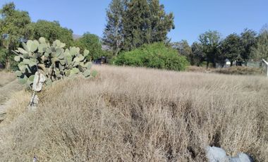 TERRENO EN VENTA ACTOPAN-JIADI