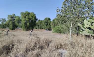 TERRENO EN VENTA ACTOPAN-JIADI